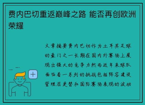 费内巴切重返巅峰之路 能否再创欧洲荣耀